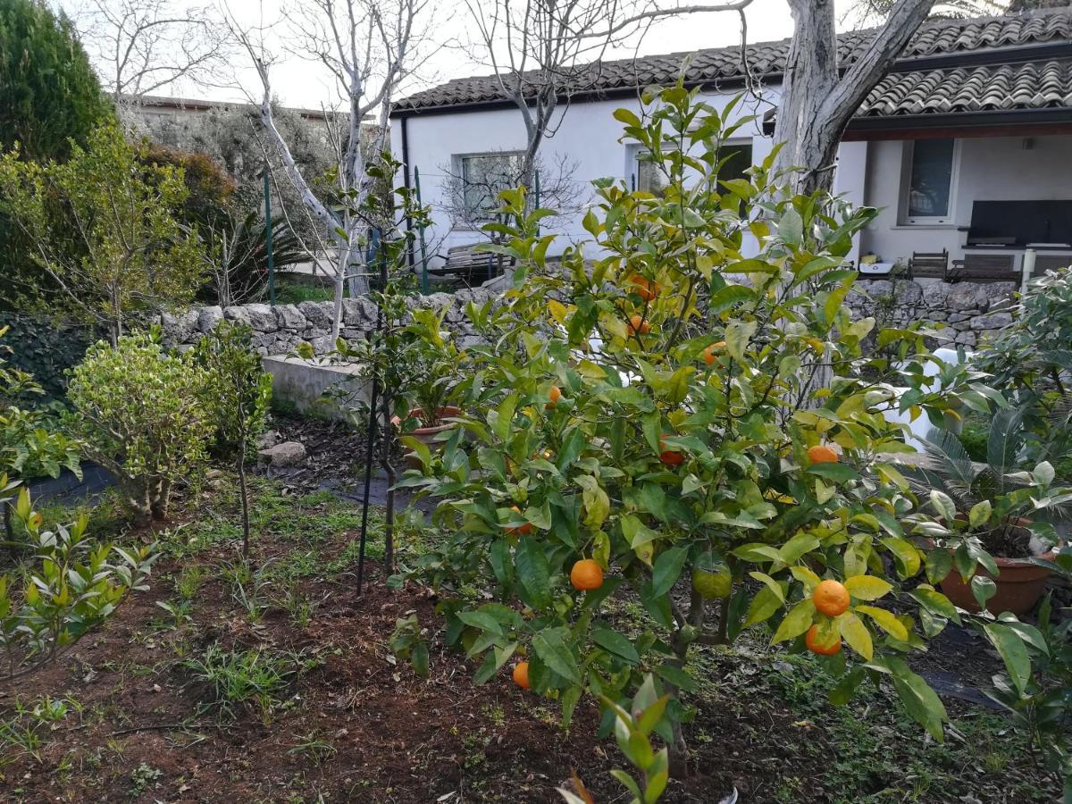 Casa Degli Avi Don Neli, Immersa Nella Natura Modica Buitenkant foto