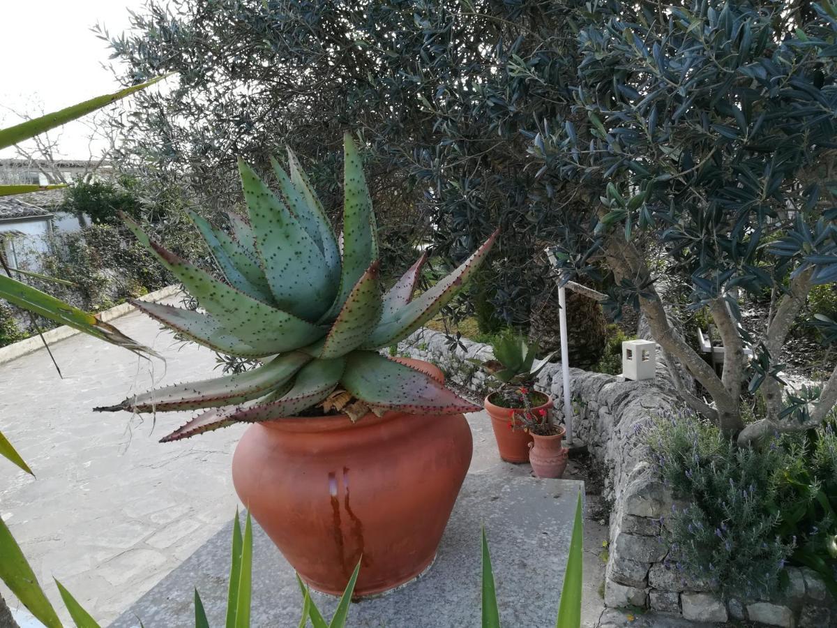 Casa Degli Avi Don Neli, Immersa Nella Natura Modica Buitenkant foto