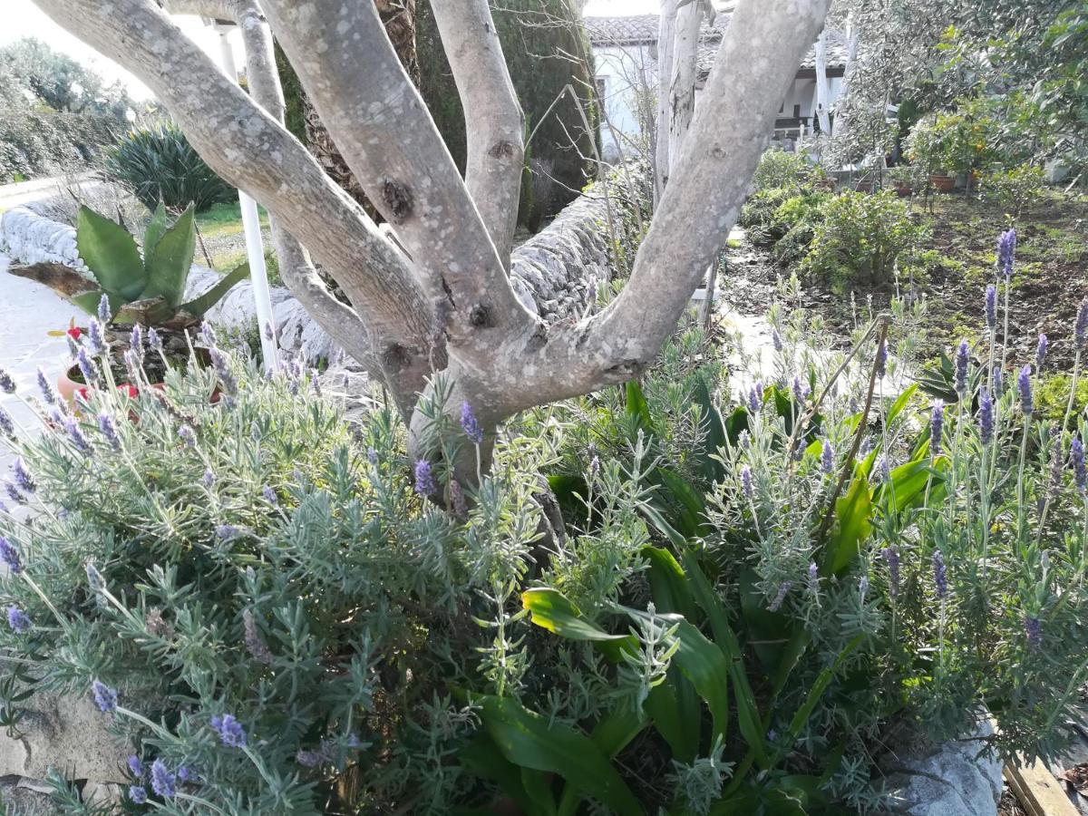 Casa Degli Avi Don Neli, Immersa Nella Natura Modica Buitenkant foto