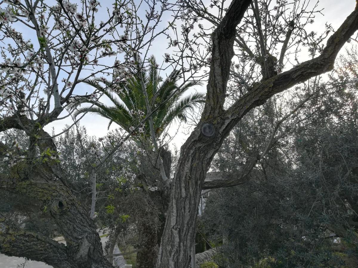Casa Degli Avi Don Neli, Immersa Nella Natura Modica Buitenkant foto